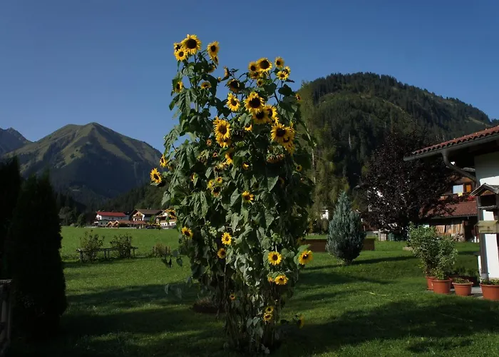加特纳公寓式酒店 比荷巴赫